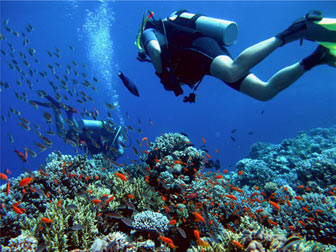 PLONGÉE SOUS-MARINE